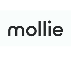 <p><a href="https://www.mollie.com/nl/" target="_blank" rel="noopener">Mollie</a> is een payment service provider (PSP) die online betalingen verwerkt voor webshops en bedrijven, vari&euml;rend van iDEAL tot creditcards. Ze vereenvoudigen het betaalproces door 35+ Europese betaalmethoden aan te bieden via &eacute;&eacute;n integratie. Daarnaast biedt Mollietools voor terugkerende betalingen (abonnementen), facturatie en financi&euml;le rapportages.</p>